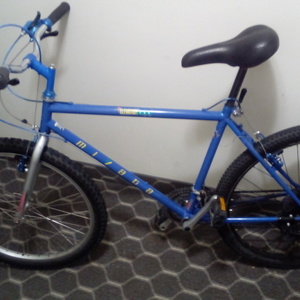 1993 Miyata Miyata Blue