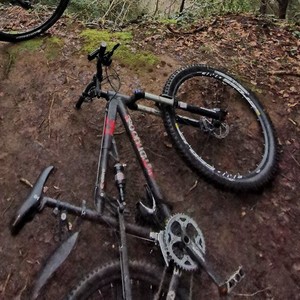Mongoose Otero Super Brown