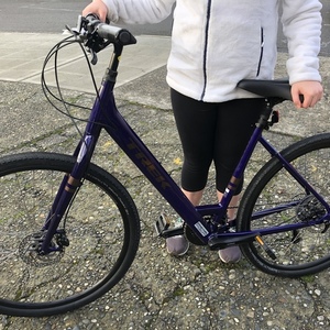2021 Trek Verve 3