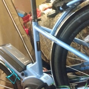 2020 IZIP iZIP Blue and White