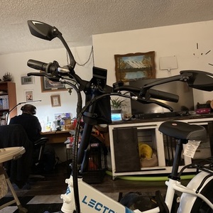 2021 Lectric eBikes Step thru 2.0 White and Blue