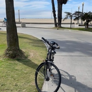 2012 Raleigh Roadster Black