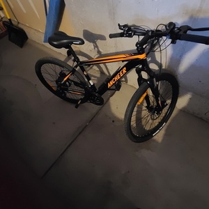 2021 Ancheer Orange Sunshine 10.4W Black and Orange