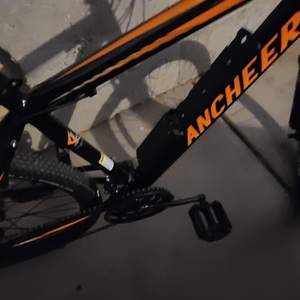 2021 Ancheer Orange Sunshine 10.4W Black and Orange