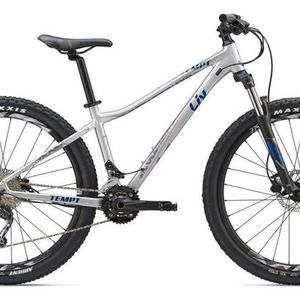 2019 Giant Tempt 2 Silver, gray or bare metal, Blue, and Purple