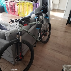2019 Cannondale Trail 4 Green