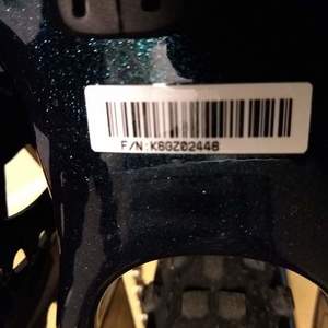 2022 Giant Revolt Blue and Green