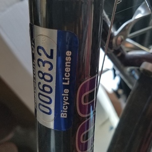 Trek Multi-trek Purple
