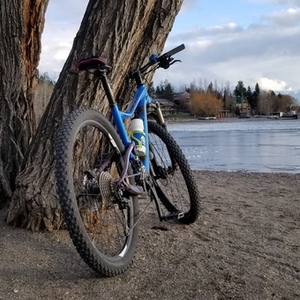 2014 Giant Small Blue and Purple
