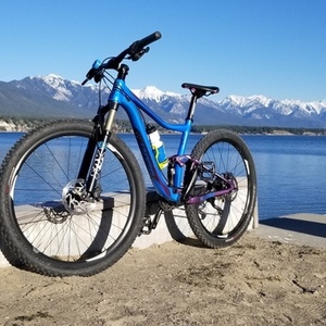 2014 Giant Small Blue and Purple