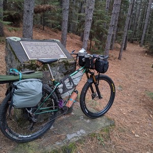 2013 Surly Krampus Green