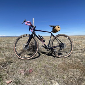 2018 Liv Brava SLR Black