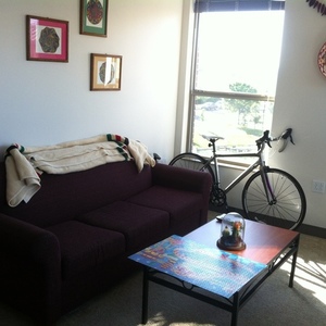 2014 Trek Lexa S Silver or Gray