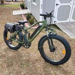 2021 Beecool Adventurer Green
