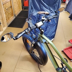2021 Beecool Adventurer Green