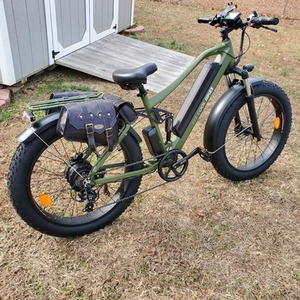 2021 Beecool Adventurer Green