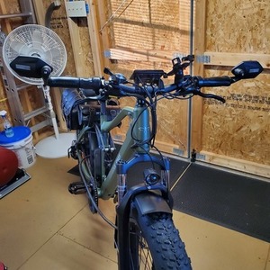 2021 Beecool Adventurer Green