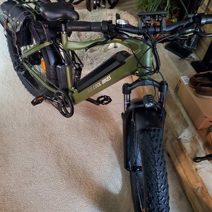 2021 Beecool Adventurer Green