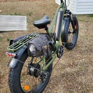 2021 Beecool Adventurer Green
