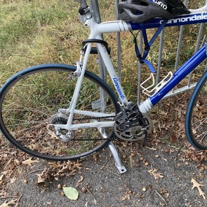 Cannondale Campagnolo / Athena Blue and White