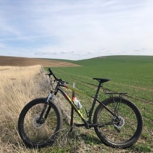 2018 Specialized Fuse Black, Green, and Red