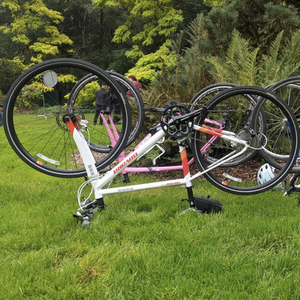 2016 Novara Cortona Donna White, Orange, and Red