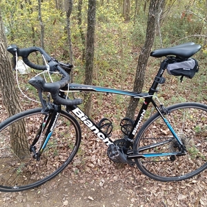 2015 Bianchi Via Nirone Claris Black, White, and Blue