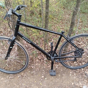 2019 Specialized Alibi Black and Teal