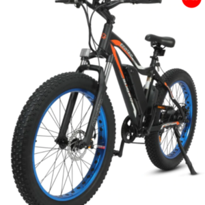 2021 Ecotric Rocket Cruiser Black