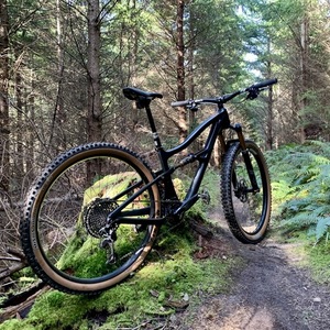 2020 Ibis Ripley Black