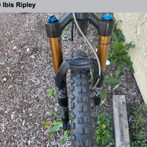 2020 Ibis Ripley Black