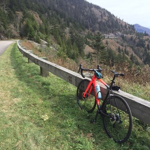 2018 Specialized Tarmac Orange and Black