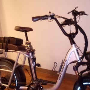 2021 Rad Power Bikes RadRunner Plus Silver, gray or bare metal