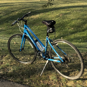 2013 Giant Escape 3 W Blue