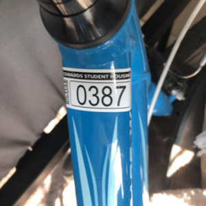 2013 Giant Escape 3 W Blue