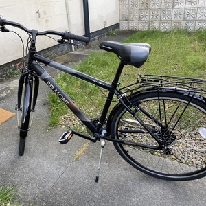 2018 Apollo Belmont Black and Silver, gray or bare metal