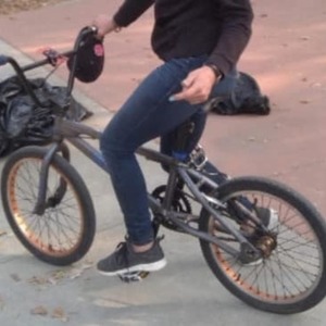 SE Bikes PK Ripper Silver, gray or bare metal