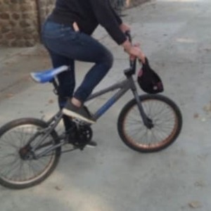 SE Bikes PK Ripper Silver, gray or bare metal