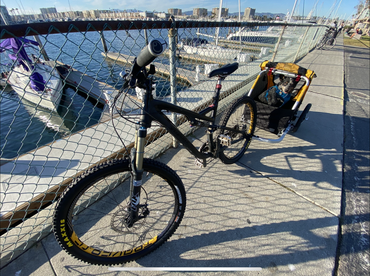 Bike photo