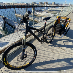 2011 Specialized Stumpjumper FSR Expert EVO Black