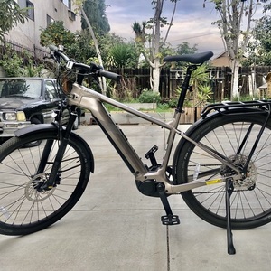 2021 Cannondale TESORO NEO X1 Silver, gray or bare metal