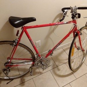 1981 Leader Bikes LE 2000 Red