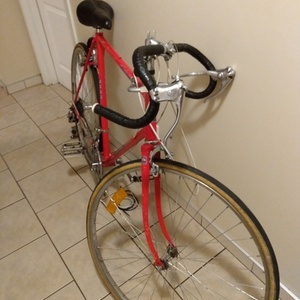 1981 Leader Bikes LE 2000 Red