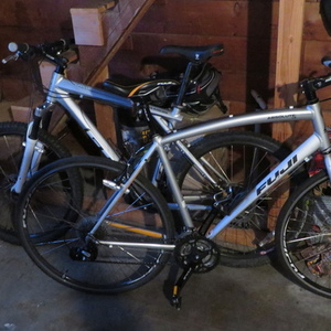 2013 Fuji Absolute 3.0 LE