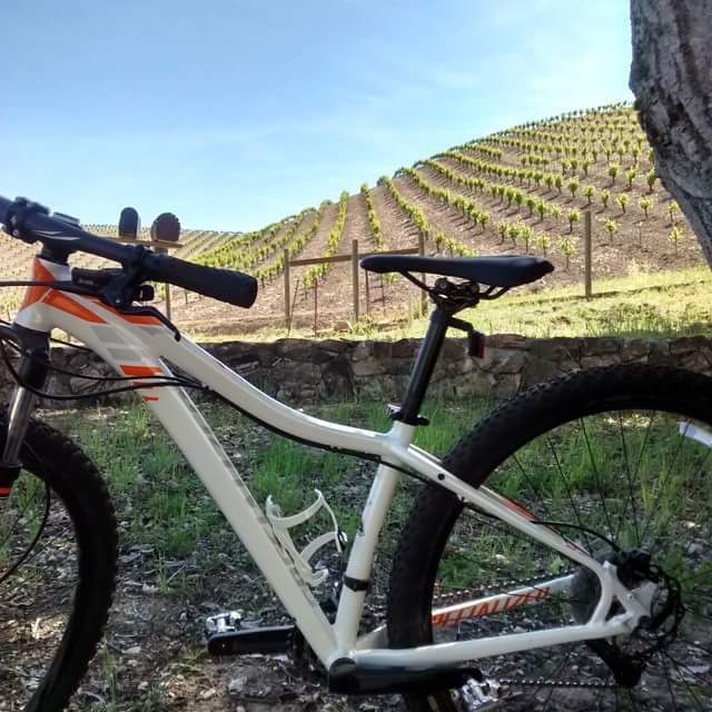 2014 specialized jett comp 29