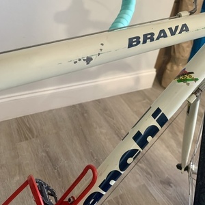 2001 Bianchi Brava White and Teal