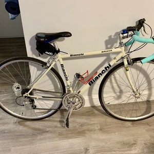 2001 Bianchi Brava White and Teal