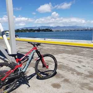 2019 Intense Tracer Red