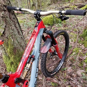 2019 Intense Tracer Red