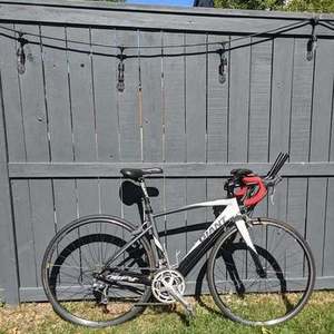 Giant Suede (White/Black) White